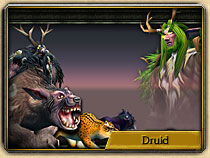 druid.jpg